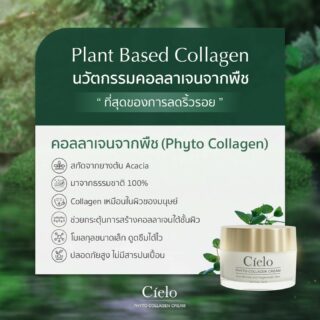 Plant Based Collagen
นวัตกรรมคอลลาเจนจากพืช 🌱
ที่สุดของการลดเลือนริ้วรอย❗

สกัดจากยางต้นอะคาเซียมาจากธรรมชาติ 100% 🌳 
✅️ โครงสร้างคอลลาเจนคล้ายในผิวของมนุษย์
✅️ ช่วยกระตุ้นการสร้างคอลลาเจนใต้ชั้นผิว
✅️ โมเลกุลขนาดเล็กมากจึงซึมเข้าสู่ผิวเร็ว
✅️ มีความปลอดภัยสูงเพราะไม่มีสารปนเปื้อนและสารเคมี

*ที่สำคัญเป็นสารสกัดหลักในครีม Cielo Phyto Collagen ด้วยนะ 💚

#CieloPhytoCollagen
#Plantbased
#Plantbasedcollagen
#คอลลาเจนจากพืช
#ที่สุดของการลดเลือนริ้วรอย